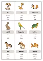 Vorschau - Spiele - Pets: Don’t say it! (Englisch) - Seite 2