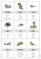Vorschau - Spiele - Pets: Don’t say it! (Englisch) - Seite 3