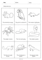 Vorschau - Arbeitsblätter - Pets: Read and Color 2 (Englisch) - Seite 3