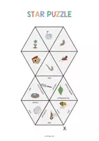 Vorschau - Stationenlernen - Spring: Star Puzzle (Englisch) - Seite 2