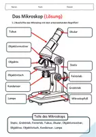 Vorschau - Arbeitsblätter - Das Mikroskop (Malvorlage und Informationen + Test) - Seite 1