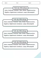 Vorschau - Arbeitsblätter - Das Mikroskop (Malvorlage und Informationen + Test) - Seite 3