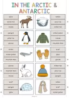 Vorschau - Stationenlernen - Arctic and Antarctic: Clip Cards / Klammerkarten (Englisch) - Seite 3