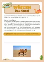 Vorschau - Arbeitsblätter - Wüsten - Das Kamel - Seite 2