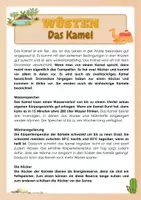 Vorschau - Arbeitsblätter - Wüsten - Das Kamel - Seite 3