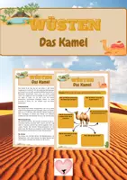 Vorschau - Arbeitsblätter - Wüsten - Das Kamel - Deckblatt