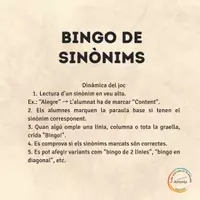 Vista previa - Juegos / Gamificación - BINGO DE SINÒNIMS (1) - Portada
