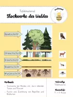 Vorschau - Mal- und Bastelvorlagen - Materialpaket zum Thema Wald - Seite 1