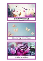 Vorschau - Text - Schlaumeier-Heftchen: Schmetterlinge (Lesen auf Satzebene, Silbenschrift) - Seite 1