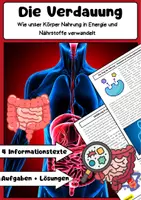 Vorschau - Arbeitsblätter - Die Verdauung – Organe, Enzyme, Nährstoffe, Prozesse - Deckblatt