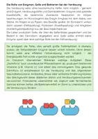 Vorschau - Arbeitsblätter - Die Verdauung – Organe, Enzyme, Nährstoffe, Prozesse - Seite 3