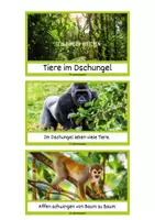 Vorschau - Text - Schlaumeier-Heftchen Tiere im Dschungel (Lesen auf Satzebene, Silbenschrift) - Seite 2