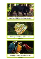 Vorschau - Text - Schlaumeier-Heftchen Tiere im Dschungel (Lesen auf Satzebene, Silbenschrift) - Seite 3