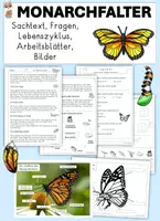 Vorschau - Arbeitsblätter - Der Monarchfalter, Sachtext mit Lebenszyklus und mehr, Klasse 2, 3, 4 - Deckblatt