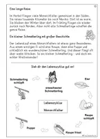 Vorschau - Arbeitsblätter - Der Monarchfalter, Sachtext mit Lebenszyklus und mehr, Klasse 2, 3, 4 - Seite 3