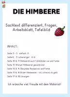 Vorschau - Stundenentwürfe - Die Himbeere - differenzierter Sachtext, Fragen, Rezept und mehr, Klasse 2, 3, 4 - Seite 1