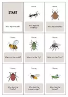 Vorschau - Spiele - Insects: I have..., who has...? (Englisch) - Seite 2