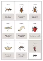 Vorschau - Spiele - Insects: I have..., who has...? (Englisch) - Seite 3