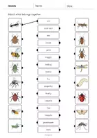 Vorschau - Arbeitsblätter - Insects: Draw the lines 1 (Englisch) - Seite 2