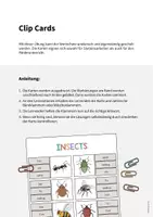 Vorschau - Stationenlernen - Insects: Clip Cards / Klammerkarten (Englisch) - Seite 1