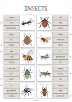 Vorschau - Stationenlernen - Insects: Clip Cards / Klammerkarten (Englisch) - Seite 2