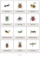 Vorschau - Mal- und Bastelvorlagen - Insects: Vocabulary Cards (Englisch) - Seite 2