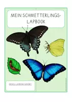 Vorschau - Anderer Materialtyp - Schmetterling Lapbook (in Farbe und s/w) - Seite 2