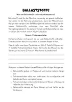 Vorschau - Arbeitsblätter - Wir werden Nahrungsforscher-Experimente zu den Nährstoffen - Seite 2