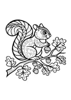 Vorschau - Mal- und Bastelvorlagen - Mandalas Thema Eichhörnchen - Grundschule - Bastelvorlagen - Seite 2
