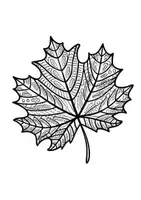 Vorschau - Mal- und Bastelvorlagen - Mandalas Thema Herbstblätter - Grundschule - Bastelvorlagen - Seite 3