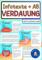Vorschau - Arbeitsblätter - Verdauung & Weg der Nahrung Arbeitsblätter - Deckblatt