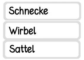 Vorschau - Arbeitsblätter - Das Cello - Aufbau des Violoncellos (Teile) - Seite 3