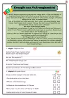 Vorschau - Arbeitsblätter - Arbeitsheft „ Energie aus Nahrungsmittel“ - Seite 2