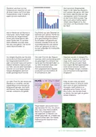 Vorschau - Lehrpläne/Lehrermaterial - Unterrichtsmaterial Palmöl Abenteuer Regenwald - Seite 2