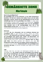 Vorschau - Arbeitsblätter - Gemäßigte Zone - Merkmale - Seite 2