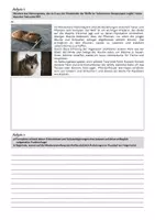 Vorschau - Stundenentwürfe - Wölfe im Yellowstone-Nationalpark - Thema Nahrungsnetz (Sek II) - Seite 2