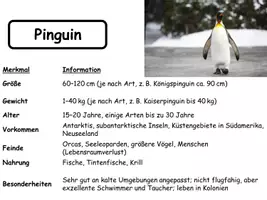 Vorschau - Mal- und Bastelvorlagen - Tierekiste. Montessorikartei, Bilder und Steckbriefe - Deckblatt