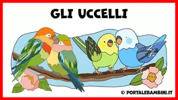 anteprima - Presentazioni / Lavagne - Gli uccelli - Unità didattica - Pagina 1