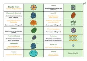 Vorschau - Spiele - Zellorganellen Domino - Biomino - Seite 3