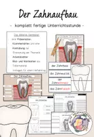 Vorschau - Arbeitsblätter - Der Zahnaufbau - komplett fertige Unterrichtsstunde - Deckblatt