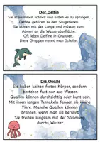 Vorschau - Stationenlernen - Abschreibkarten Meerestiere - Seite 1