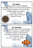 Vorschau - Stationenlernen - Abschreibkarten Meerestiere - Seite 3