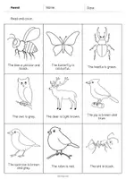 Vorschau - Arbeitsblätter - Forest: Read and Color 2 (Englisch) - Seite 3