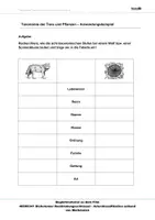 Vorschau - Arbeitsblätter - Dichotomer Bestimmungsschlüssel - Arbeitsblätter und Lösungen PDF - Seite 2