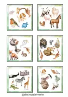 Vorschau - Spiele - SUCH.FIX - WER FINDET`S AM SCHNELLSTEN? - Tiere - Seite 2