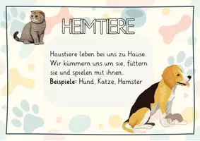 Vorschau - Merkblätter - Definition Heimtiere Wildtiere Nutztiere - Seite 1