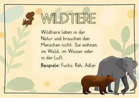 Vorschau - Merkblätter - Definition Heimtiere Wildtiere Nutztiere - Seite 2