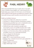 Vorschau - Unterrichtsreihen - Materialpaket - Fabel - Türkischunterricht - Seite 1