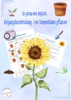 Vorschau - Arbeitsblätter - Vorgangsbeschreibung - Anleitung - Eine Sonnenblume pflanzen (Deutsch, Klasse 5-7) - Deckblatt