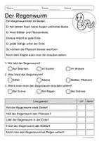 Vorschau - Arbeitsblätter - Lesen & Verstehen - Auf der Wiese - Leseförderung für Leseanfänger (Klasse 1-2) - Seite 3